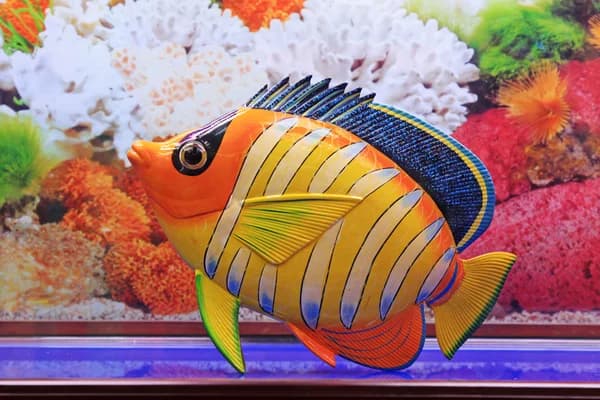 Nemo